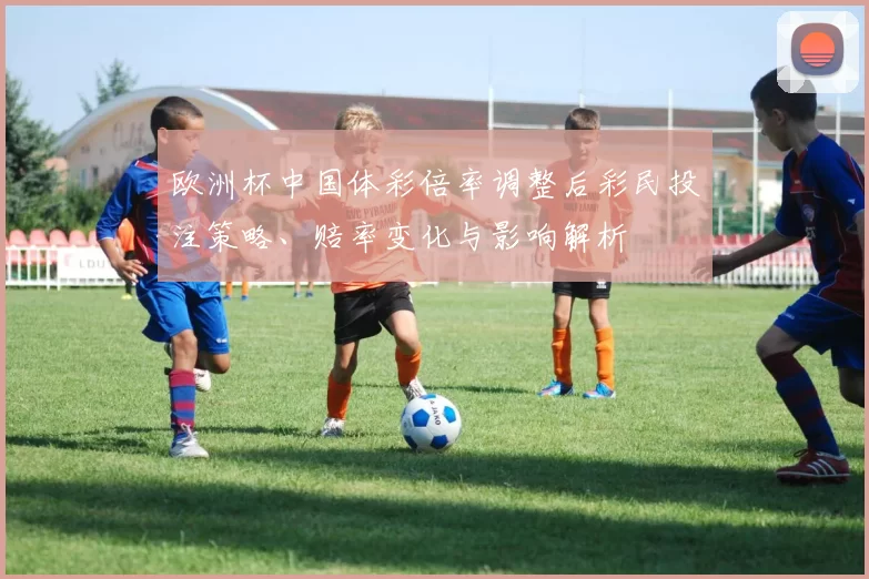欧洲杯中国体彩倍率调整后彩民投注策略、赔率变化与影响解析