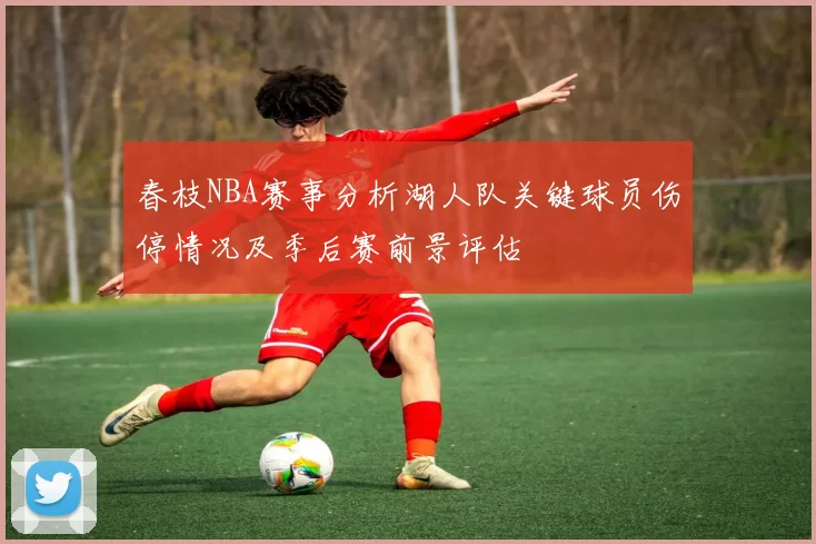 春枝NBA赛事分析湖人队关键球员伤停情况及季后赛前景评估